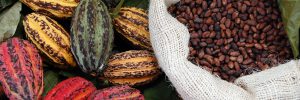 پودر کاکائو آلمانی