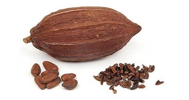 خرید پودر کاکائو اسپانیایی
